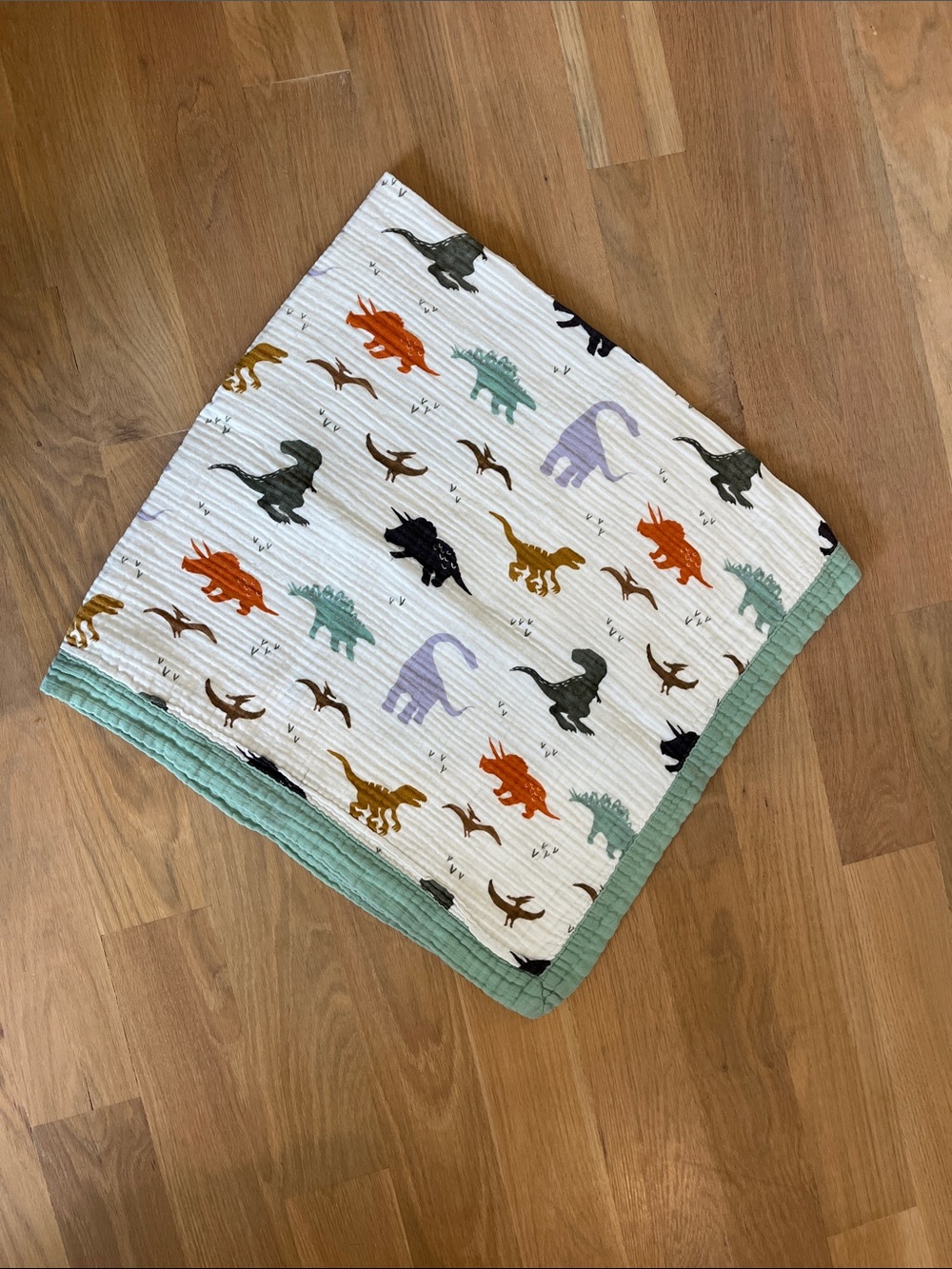 Muslin Dinosaur Baby Blanket